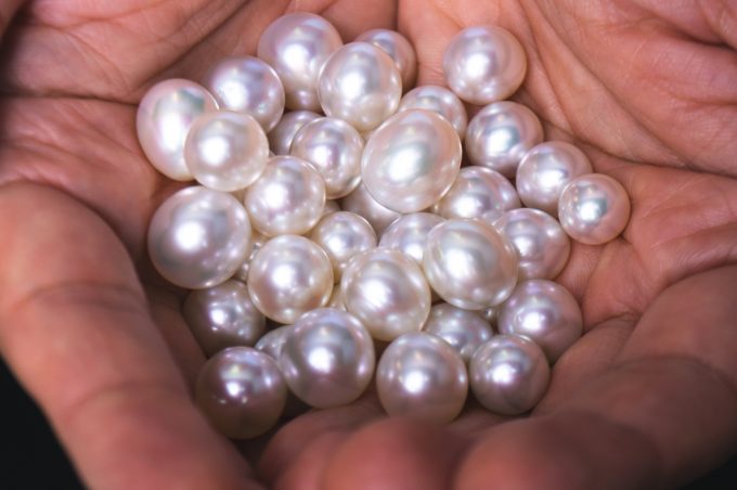 Harvest sample of South Sea Pearls