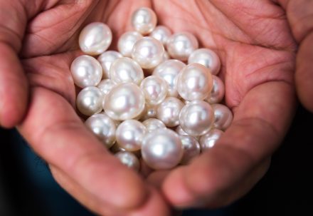 White Australian South Sea Pearls