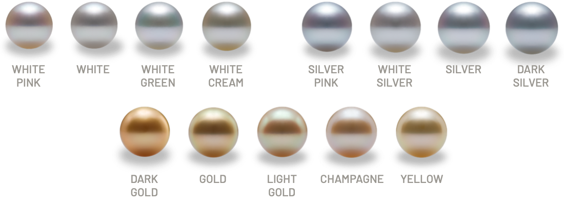 Color variety of South Sea Pearls